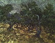 Vincent Van Gogh The Olive Grove Spain oil painting artist